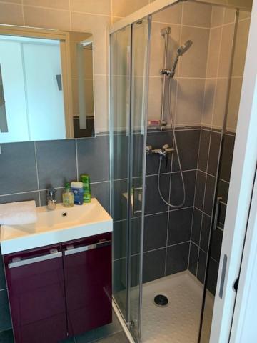 Petit Studio Dans Villa Bord De Lac Aix-les-Bains Luaran gambar
